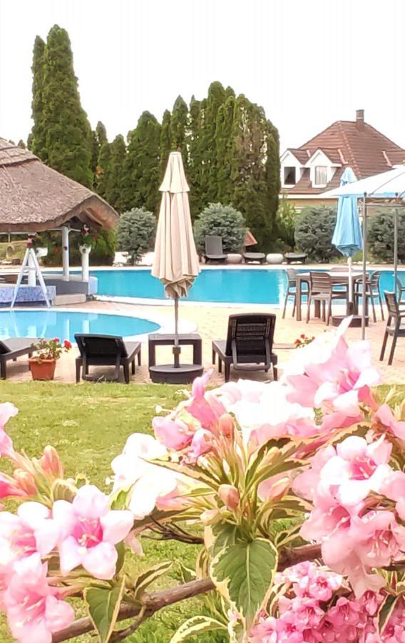 Helena Studio Apartman Siófok Zewnętrze zdjęcie